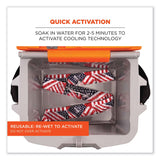 ergodyne® Chill-Its 6700 Cooling Bandana Polymer Tie Headband, One Size Fits Most, Stars and Stripes, Ships in 1-3 Business Days (EGO12303) Each