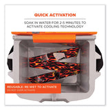 ergodyne® Chill-Its 6700 Cooling Bandana Polymer Tie Headband, One Size Fits Most, Flames, Ships in 1-3 Business Days (EGO12341) Each