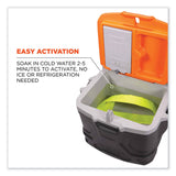 ergodyne® Chill-Its 6702 Cooling Embedded Polymers Tie Bandana, One Size Fits Most, Lime, Ships in 1-3 Business Days (EGO12397) Each