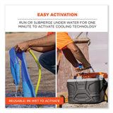 ergodyne® Chill-Its 6604 Multipurpose Cleaning Cooling Towel, 35x8, One Size Fit Most, Microfiber/PVA, Blue, Ships in 1-3 Business Days (EGO12490) Each