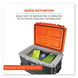 ergodyne® Chill-Its 6665 Embedded Polymer Cooling Vest with Zipper, Nylon/Polymer, 3X-Large, Lime, Ships in 1-3 Business Days (EGO12537) Each