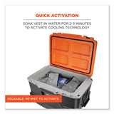 ergodyne® Chill-Its 6665 Embedded Polymer Cooling Vest with Zipper, Nylon/Polymer, 2X-Large, Gray, Ships in 1-3 Business Days (EGO12546) Each