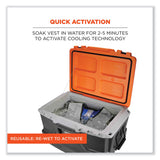 ergodyne® Chill-Its 6665 Embedded Polymer Cooling Vest with Zipper, Nylon/Polymer, 3X-Large, Gray, Ships in 1-3 Business Days (EGO12547) Each