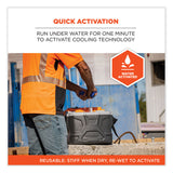 ergodyne® Chill-Its 6715CT Hard Hat Cooling Pad - PVA, 7 x 6.5, Blue, Ships in 1-3 Business Days (EGO12597) Each