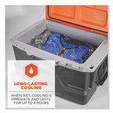 ergodyne® Chill-Its 6667 Wet Evaporative PVA Cooling Vest with Zipper, PVA, 2X-Large, Blue, Ships in 1-3 Business Days (EGO12696) Each