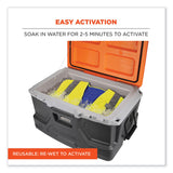 ergodyne® Chill-Its 6668 Class 2 Hi-Vis Safety Cooling Vest, Polymer, Medium, Lime, Ships in 1-3 Business Days (EGO12713) Each