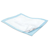 Wings™ Quilted Premium Comfort Disposable Underpad 23 X 36 Inch Airlaid Heavy Absorbency (813438_BG) 12/BG