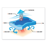 ergodyne® Chill-Its 6705CT Cooling PVA Hook and Loop Bandana Headband, One Size Fits Most, Flames, Ships in 1-3 Business Days (EGO12578) Each