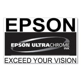 Epson® T770720 (T770) UltraChrome PRO10 Ink, 25 mL, Gray (EPST770720) Each