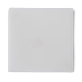Ivalon® Instrument Wipe 3-1/4 X 3-1/4 Inch 20 Count PVA (Polyvinyl Acetal) Box Sterile (365670_BX) 20/BX