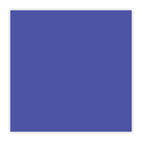 Paper Mate® Clear Point Mechanical Pencil, 0.7 mm, HB (#2), Black Lead, Blue Barrel (PAP56043) 1 Dozen