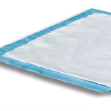 Attends® Care Dri-Sorb® Disposable Underpad 23 X 36 Inch Cellulose / Polymer Heavy Absorbency (725387_CS) 150/CS