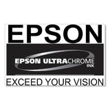 Epson® T53KA20 (T53K) UltraChrome DS Ink, Orange, 2/Pack (EPST53KA20) Each