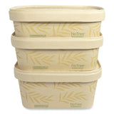 World Centric® No Tree Rectangular Containers, 16 oz, 4.7 x 6.8 x 1.6, Natural, Sugarcane, 300/Carton (WORCTNT16) Case of 300