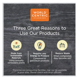 World Centric® Paper Lids for Containers, 4.7 x 6.8, Natural, Paper, 300/Carton (WORCTLNT16) Case of 300