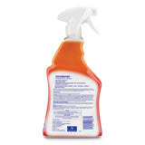 LYSOL® Brand Kitchen Pro Antibacterial Cleaner, Citrus Scent, 22 oz Spray Bottle (RAC79556EA) Each