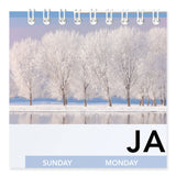 AT-A-GLANCE® Landscape Monthly Wall Calendar, Landscapes Photography, 12 x 12, White/Multicolor Sheets, 12-Month (Jan to Dec): 2026 (AAG88200) Each