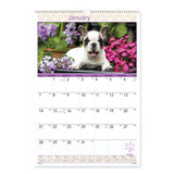 AT-A-GLANCE® Puppies Monthly Wall Calendar, Puppies Photography, 15.5 x 22.75, White/Multicolor Sheets, 12-Month (Jan to Dec): 2026 (AAGDMW16728) Each