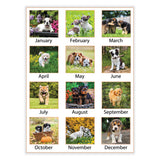 AT-A-GLANCE® Puppies Monthly Wall Calendar, Puppies Photography, 15.5 x 22.75, White/Multicolor Sheets, 12-Month (Jan to Dec): 2024 (AAGDMW16728)