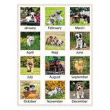 AT-A-GLANCE® Puppies Monthly Wall Calendar, Puppies Photography, 15.5 x 22.75, White/Multicolor Sheets, 12-Month (Jan to Dec): 2026 (AAGDMW16728) Each