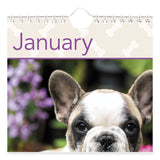 AT-A-GLANCE® Puppies Monthly Wall Calendar, Puppies Photography, 15.5 x 22.75, White/Multicolor Sheets, 12-Month (Jan to Dec): 2026 (AAGDMW16728) Each