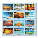 AT-A-GLANCE® Tropical Escape Wall Calendar, Tropical Escape Photography, 15 x 12, Pale Blue/Multicolor Sheets, 12-Month (Jan to Dec): 2026 (AAGDMWTE828) Each