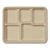 World Centric® Fiber Trays, 5-Compartment, 8.5 x 10.24 x 1.01, Natural, Paper, 400/Carton (WORTRSC5CLFS) Case of 400