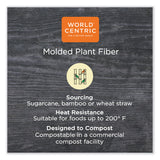 World Centric® Fiber Hinged Containers, 9.2 x 9.1 x 3.2, Natural, Paper, 300/Carton (WORTOSCU9LFP) Case of 300