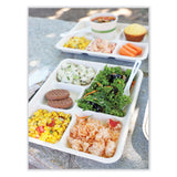 World Centric® Fiber Trays, 5-Compartment, 8.5 x 10.24 x 1.01, Natural, Paper, 400/Carton (WORTRSC5CLFS) Case of 400