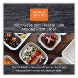 World Centric® Fiber Hinged Containers, 8.8 x 8.2 x 2.9, Natural, Paper, 300/Carton (WORTOSCT3LFS) Case of 300