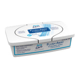 Flush Away Adult Flushable Personal Wipe Tub Scented 60 Count (867176_BX) 60/BX