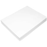 Epson® DS Transfer Photo Paper Roll, 4.6 mil, 17" x 300 ft, Matte White (EPSS450259) Each