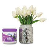 BRIGHT Air® Super Odor Eliminator, Lavender and Fresh Linen, Purple, 14 oz Jar (BRI901325) Each