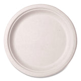 Vegware™ Nourish Molded Fiber Tableware, Compostable, Plate, Sugarcane, 10" dia, White, 500/Carton (VEGVWP005NFA) Case of 500