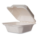Vegware White Molded Fiber Clamshell Containers, 6 x 12 x 2, White, Sugarcane, 400/Carton (VEGWHBRG6HW) Case of 400