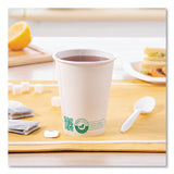 SOLO Compostable Paper Hot Cups, ProPlanet Seal, 12 oz, White/Green, 50/Pack (SCC412PLAPLATPK) Pack of 50