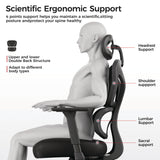 Eureka Ergonomic® Norn Ergonomic Chair, Supports Up to 275 lb, 18.11" to 22.04" Seat Height, Black/Gray Mesh Seat/Back, Black Base (EKAGC06GY) Each