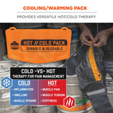 Ergodyne ProFlex 6275 Reusable Hot/Cold Pack Replacement, 13 x 6.7, 2/Pack (EGO12212) Pack of 2