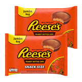 Reese's Snack Size Peanut Butter Cups, 19.5 oz Bag, 2 Bags/Carton (GRR60004058) Case of 2