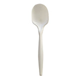 Boardwalk® Mediumweight Wrapped Polypropylene Cutlery, Soup Spoon, White, 1,000/Carton (BWKSOUPMWPPIW) Case of 1000