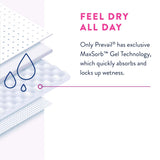 Prevail® Daily Underwear Female Adult Absorbent Underwear Pull On with Tear Away Seams 2X-Large Disposable Heavy Absorbency (1126187_BG) 14/BG