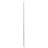 boardwalk-wrapped-jumbo-straws-bwkjumw1025clr.jpg