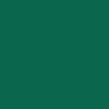 Hospeco® Terry Polishing Hand Towel 16x27 Hunter Green, 120/Case (HOSN030-HG1627-4-CS) Case of 120