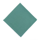 Hospeco® Mariposa Poly Spun NaPackin 20x20 Green, 300/Case (HOSNAP-GREEN-SPUN-CS) Case of 300