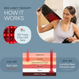 AllevaRed Pro Light Therapy Belt 6-7/8 X 49-3/5 Inch (1271033_EA) 1/EA