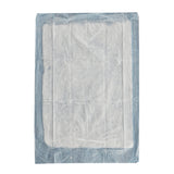 Simplicity™ Basic Disposable Underpad 17 X 24 Inch Fluff Light Absorbency (1210421_CS) 300/CS