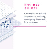 Prevail® Daily Underwear Female Adult Absorbent Underwear Pull On with Tear Away Seams Large Disposable Heavy Absorbency (889082_CS) 72/CS