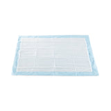 McKesson Disposable Underpad 23 X 36 Inch Polymer Moderate Absorbency (671823_PK) 1/PK