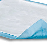Attends® Care Dri-Sorb® Disposable Underpad 30 X 30 Inch Cellulose / Polymer Heavy Absorbency (955054_EA) 1/EA