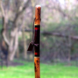 Brazos™ Free Form Walking Stick Wood 55 Inch Height Safari (1229071_EA) 1/EA